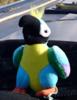 A Small Parrot's Photo