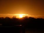 Dawn's Photo