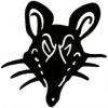 Blackrat