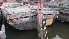 10247206 10151950969671261 6988513245534165156 N