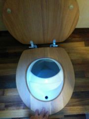 Toilet bowl