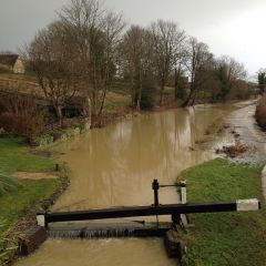 Shipton on Cherwell br220 Flood gate closed Jan 2014