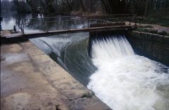 1995 Canal De Nivernais Accolay