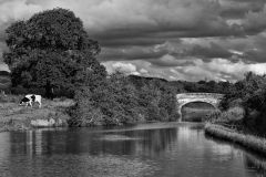 Bridge 55
