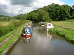 Peaceful canal scene