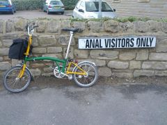 Anal Visitors