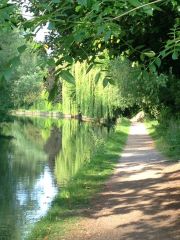 Croxley on the Tow Path