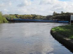 jsw_img_1398.jpg
