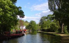River Wey.jpg