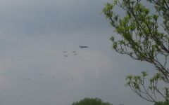The Fly Past.jpg