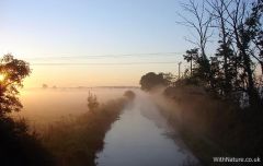 Sunrise - Aylesbury Arm