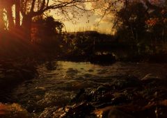 Sunset at the Brambles T&M