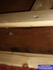 Bedroom damp under gunnel