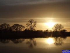 Sunset At Pollington