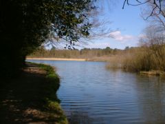 Basingstoke Canal