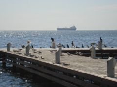 Ships at Anchor in the Marmara Sea