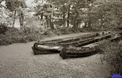 BASINGSTOKE BOATS 1