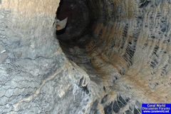 Ventilation shaft - Dudley Tunnel