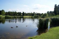 Campbell Park duck pond, Milton Keynes