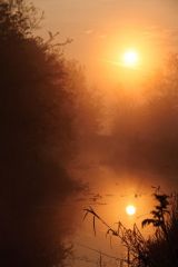 More information about "Sunrise reflect"