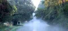 misty morning 