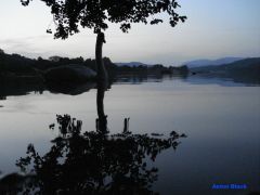SWAN LAKE