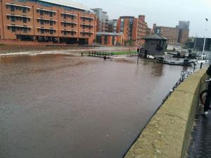 post-4543-0-44307400-1447604101_thumb.jpeg