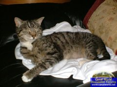 Poppy - Our New Captain