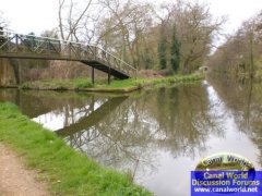 River Wey - Basingstoke Canal Junction
