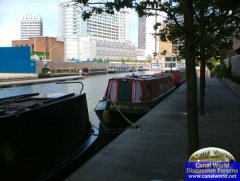 Hartley Harlequin - Found at Paddington