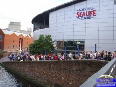 Stupidly long queues
