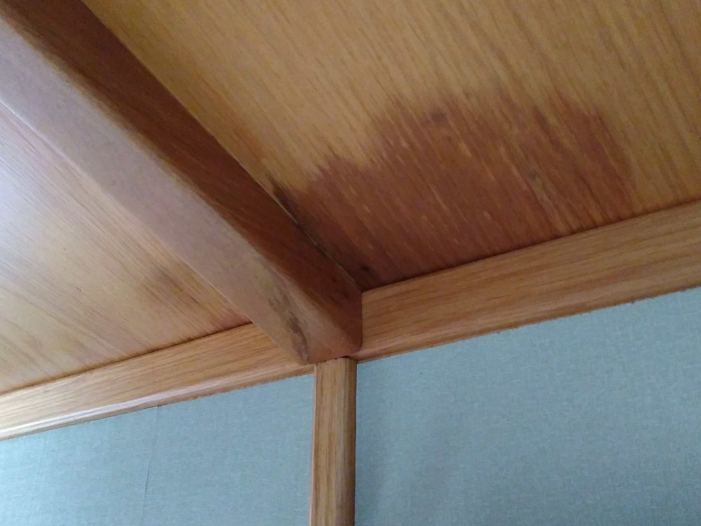 Advice Please Damp Patches On Ceiling Boat Building