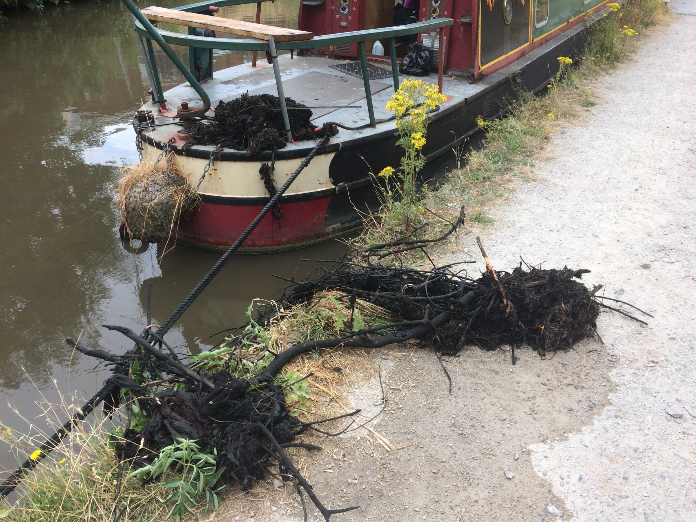 Weed Hatch Luck Dip General Boating Canal World