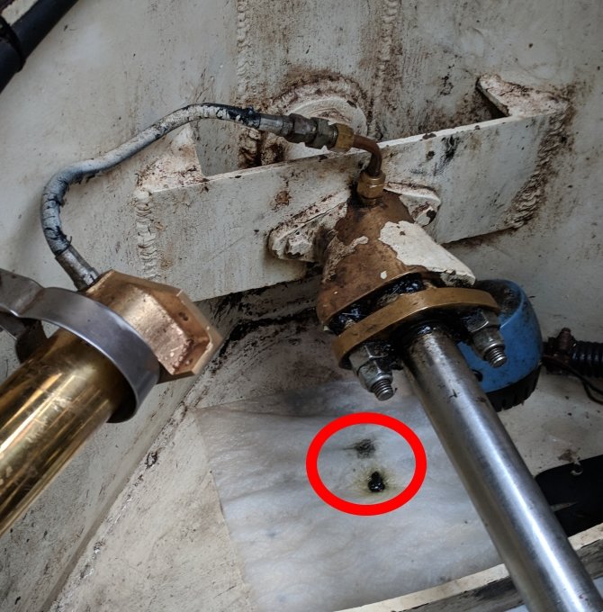 Stern Gear Stuffing Box Thunderboat