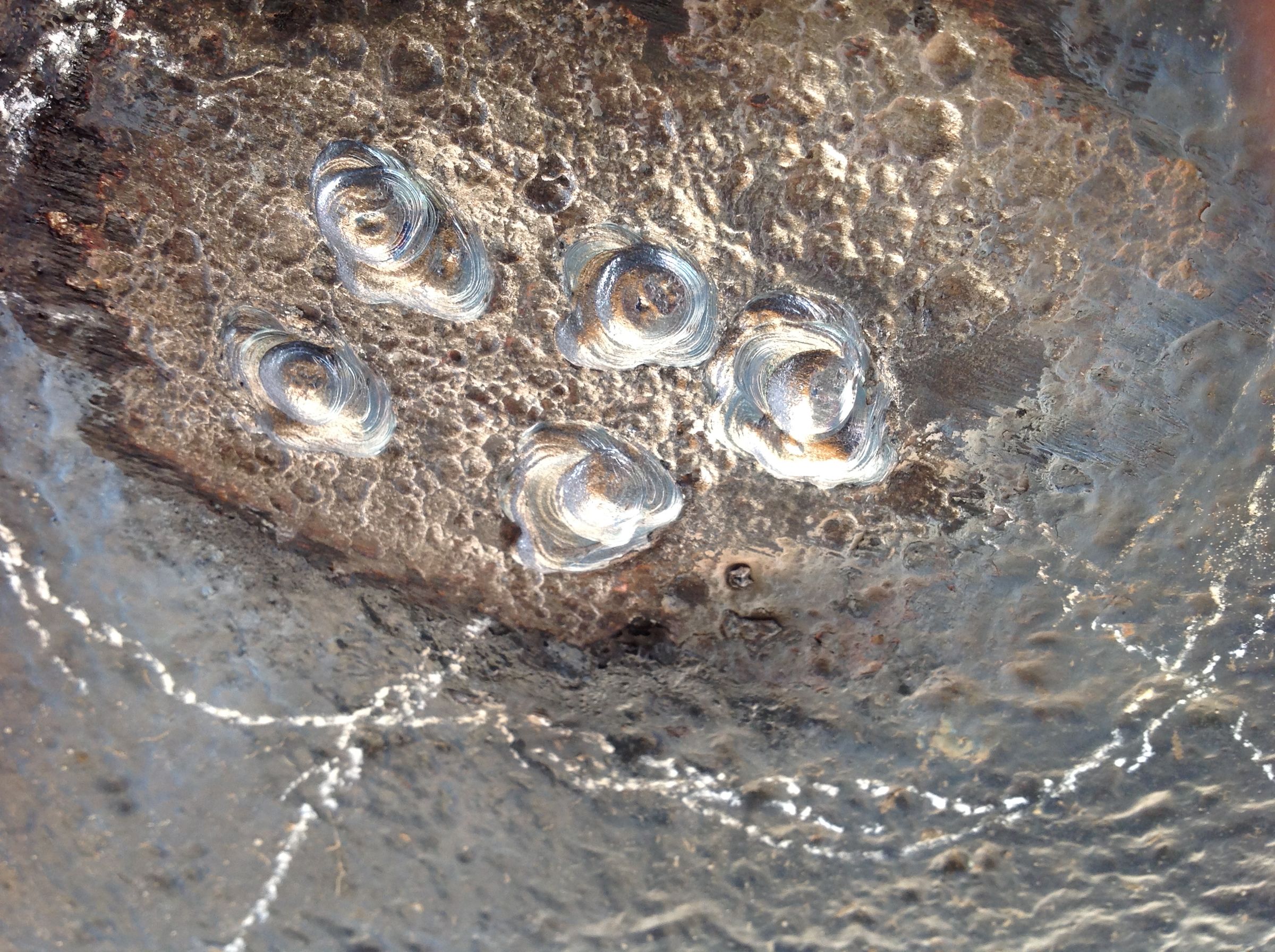 Repairing a pitted hull. (photo) - Frequently Asked Questions - Canal World