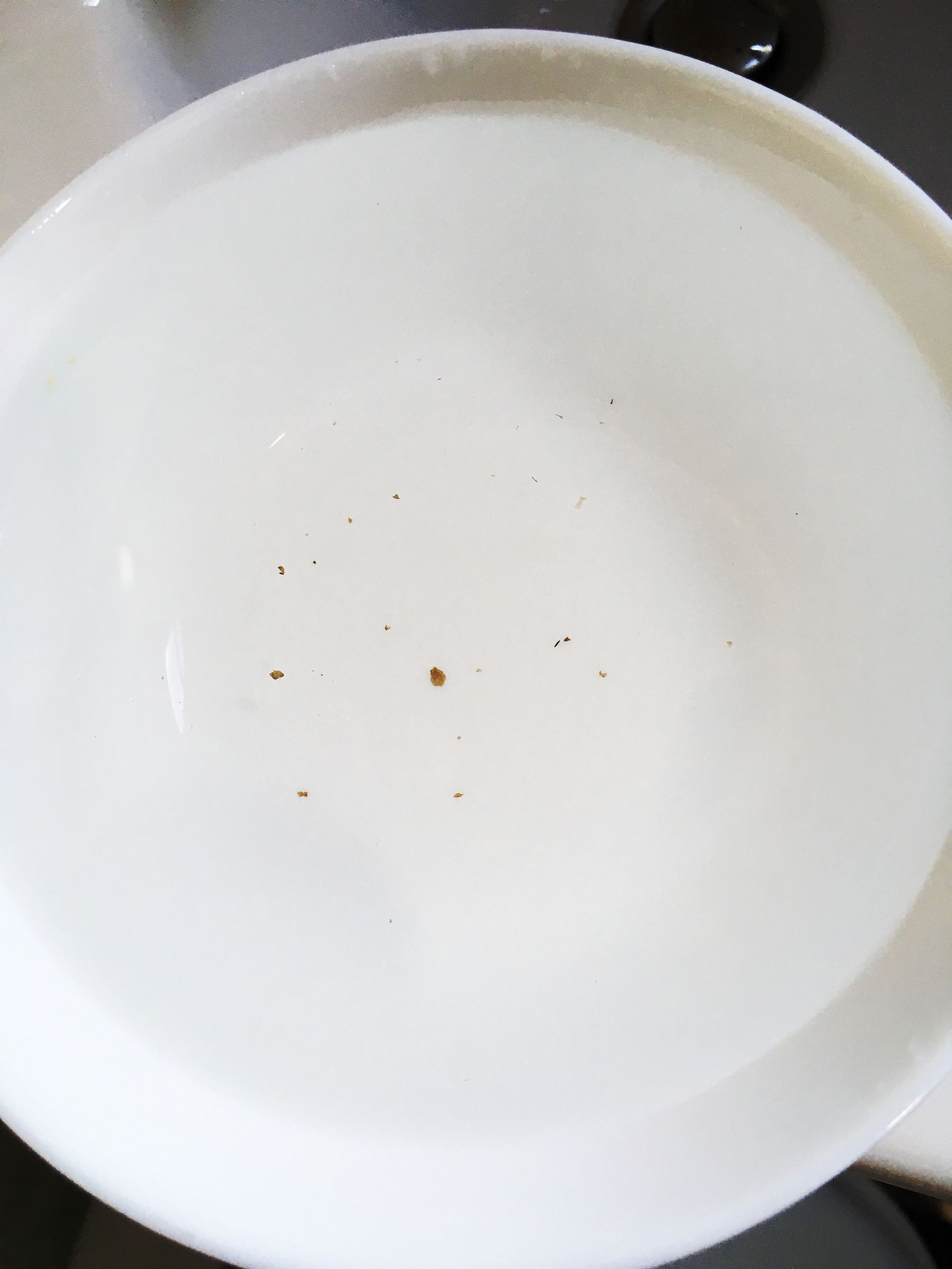 Black bits in the water Boat Building & Maintenance Canal World