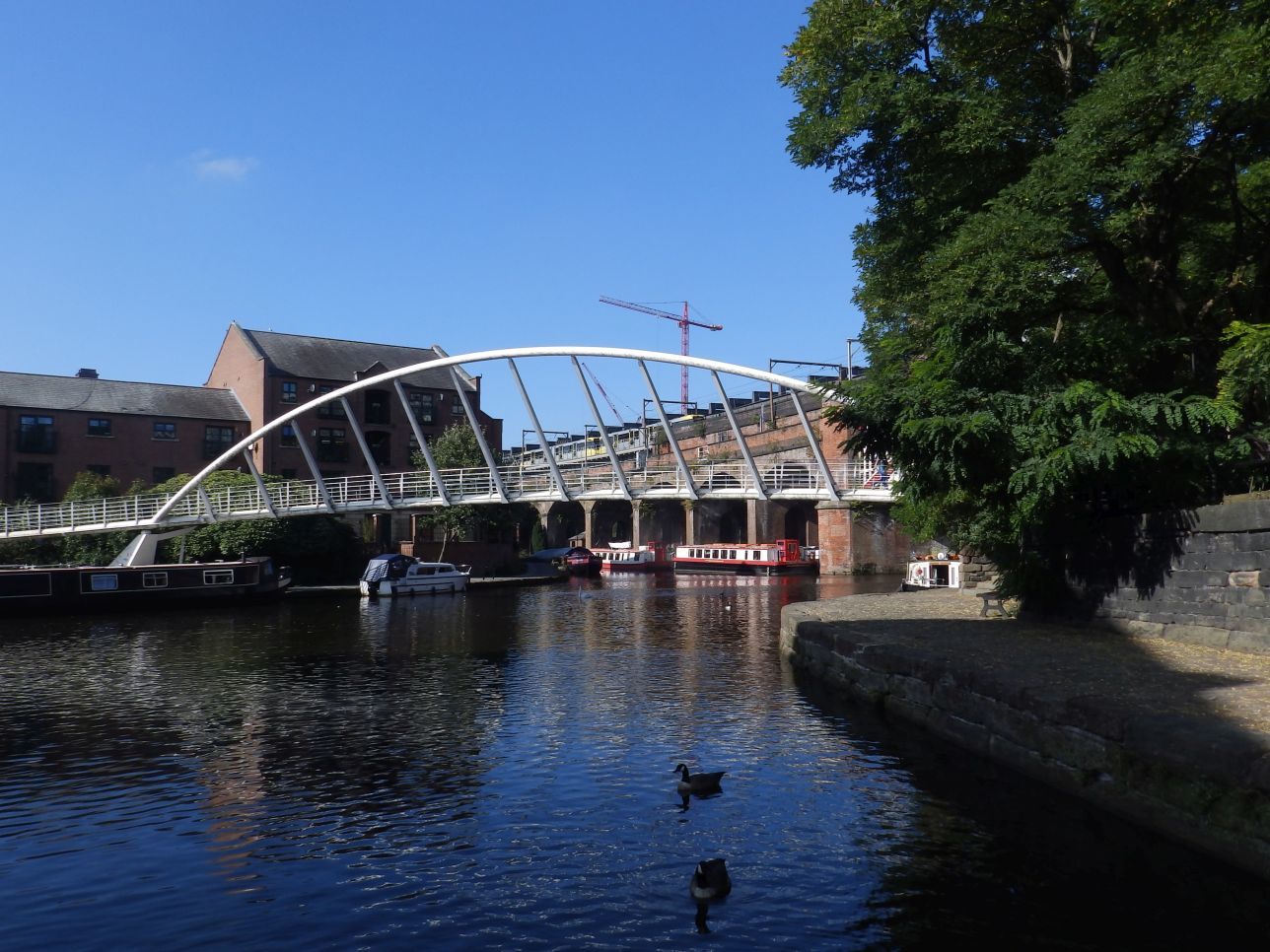 L2392_20151001-PA014126s.jpg.e38feef9517e60650a9e58d9301eb1b7.jpg