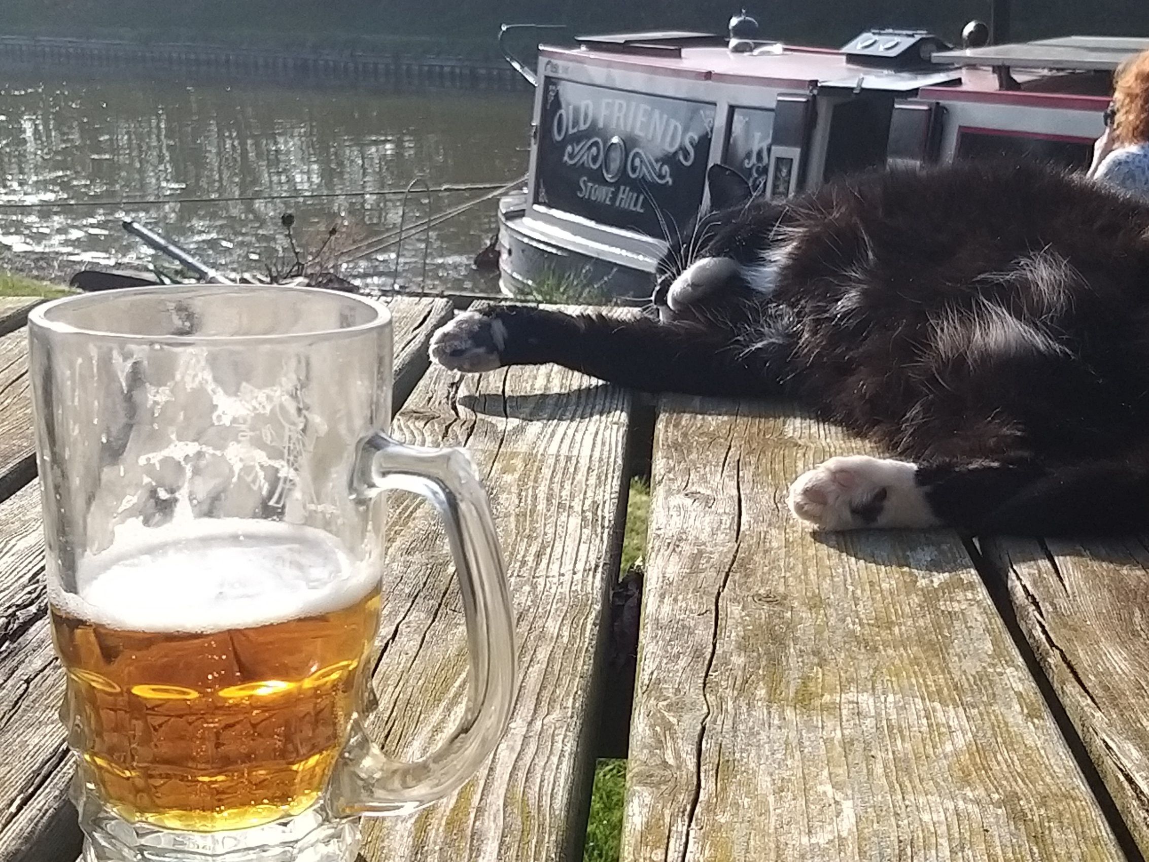 Keeping the cat alive - Living Afloat - Canal World