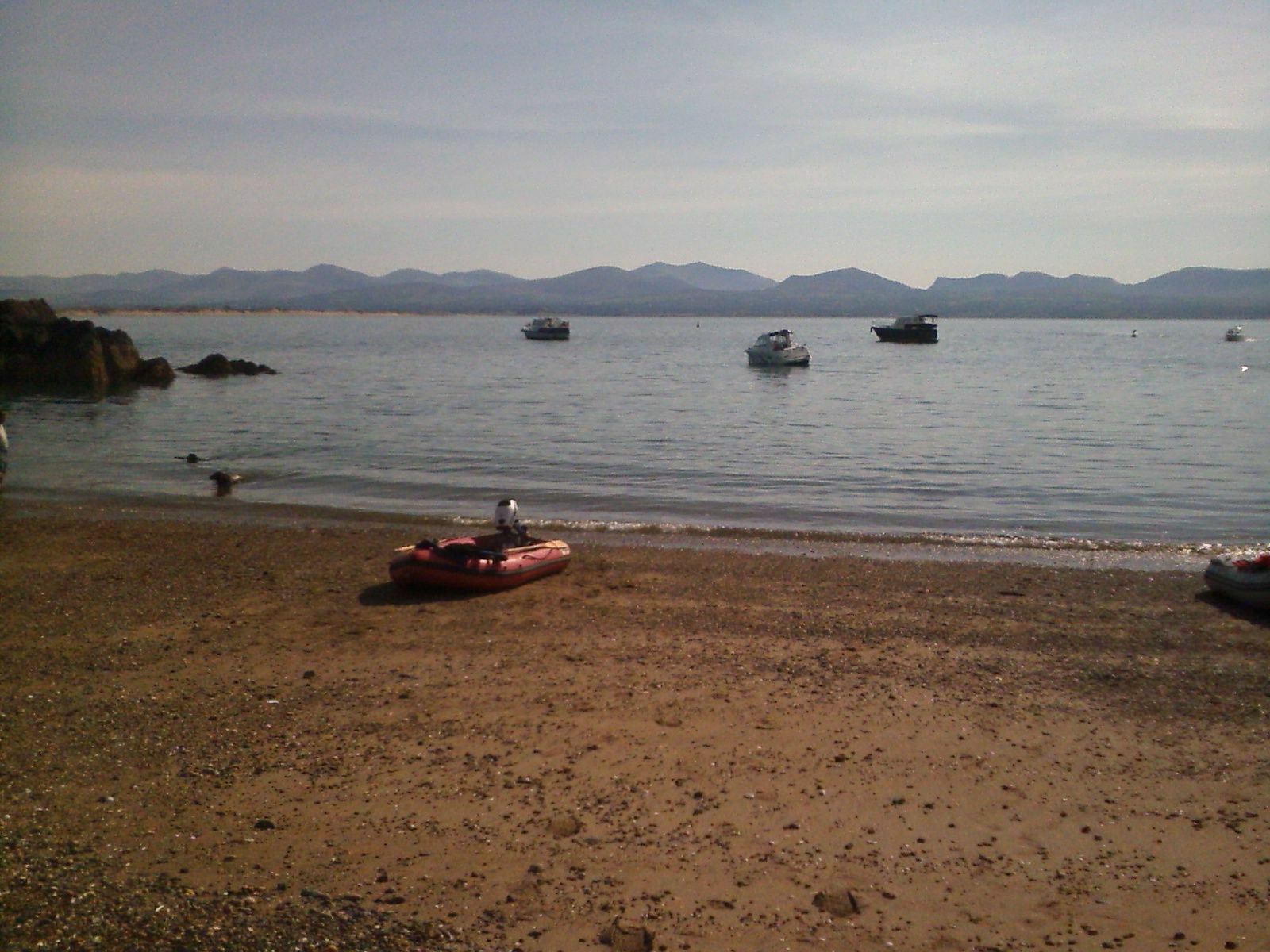 Outboard engine stalls when putting into gear. Boat Building