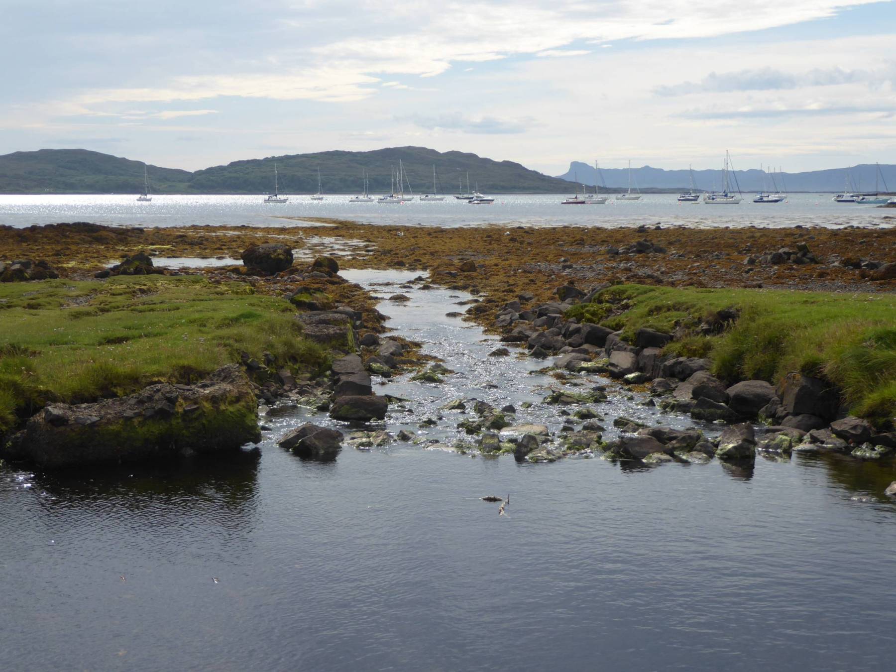 P1050402.JPG