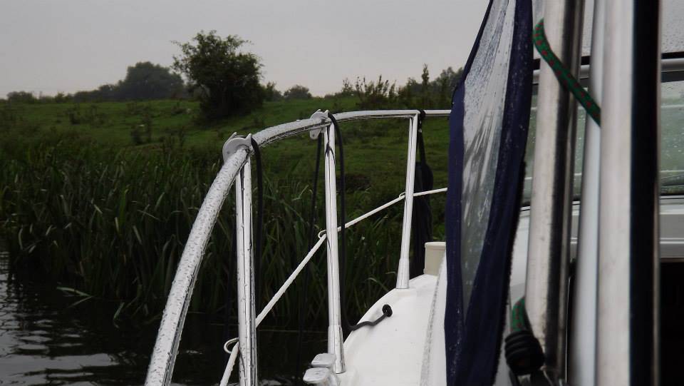 1240074_606268592759119_582062850_n.jpg.8af967968a6545bfcd3d2c2a1e66fb29.jpg