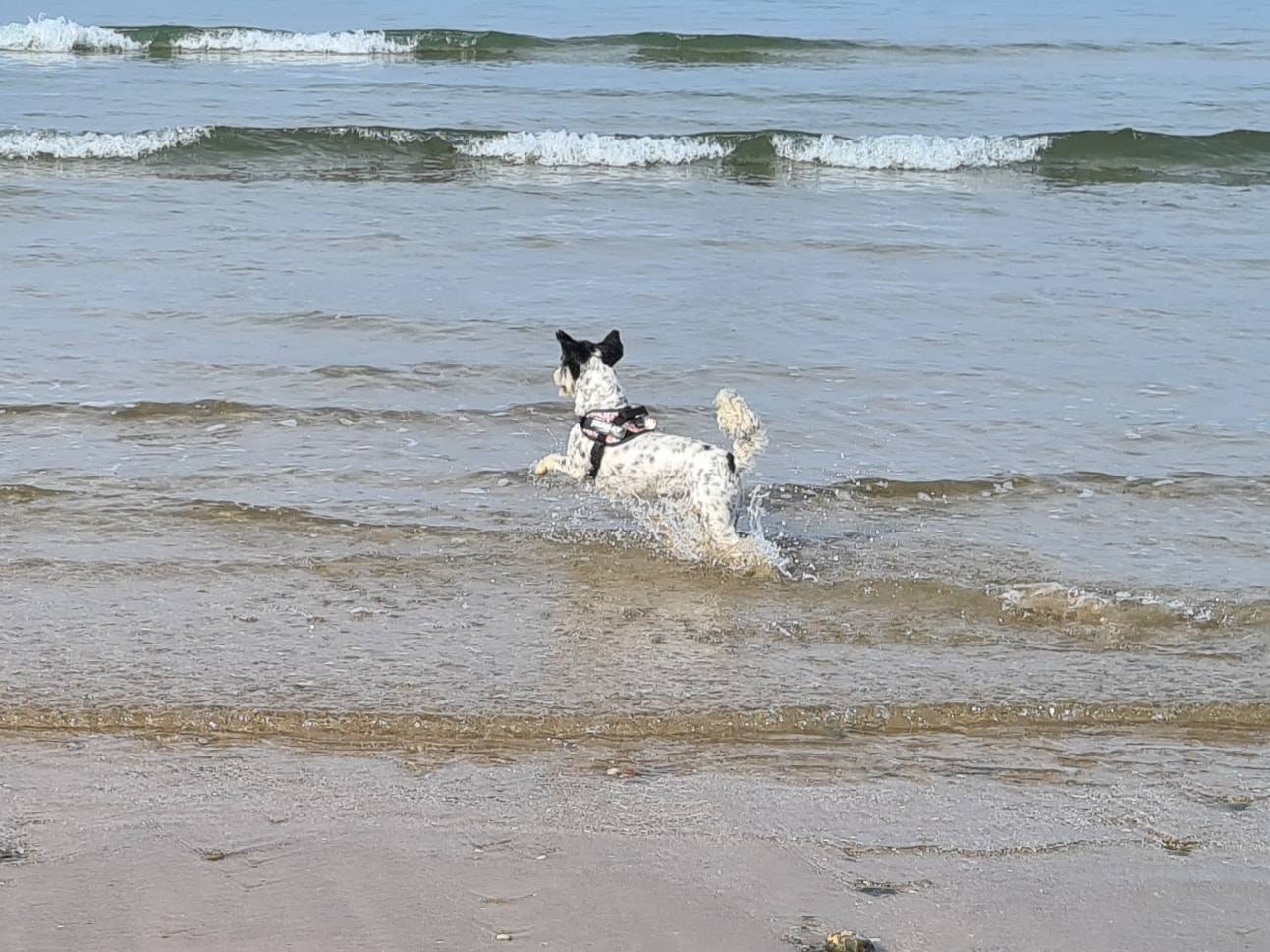 302011422_5639002546152340_3138725008988457106_n.jpg.f4a448b1ab453ea9617559697f42f68a.jpg
