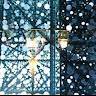 Tgno3