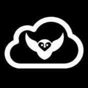 CloudOwl