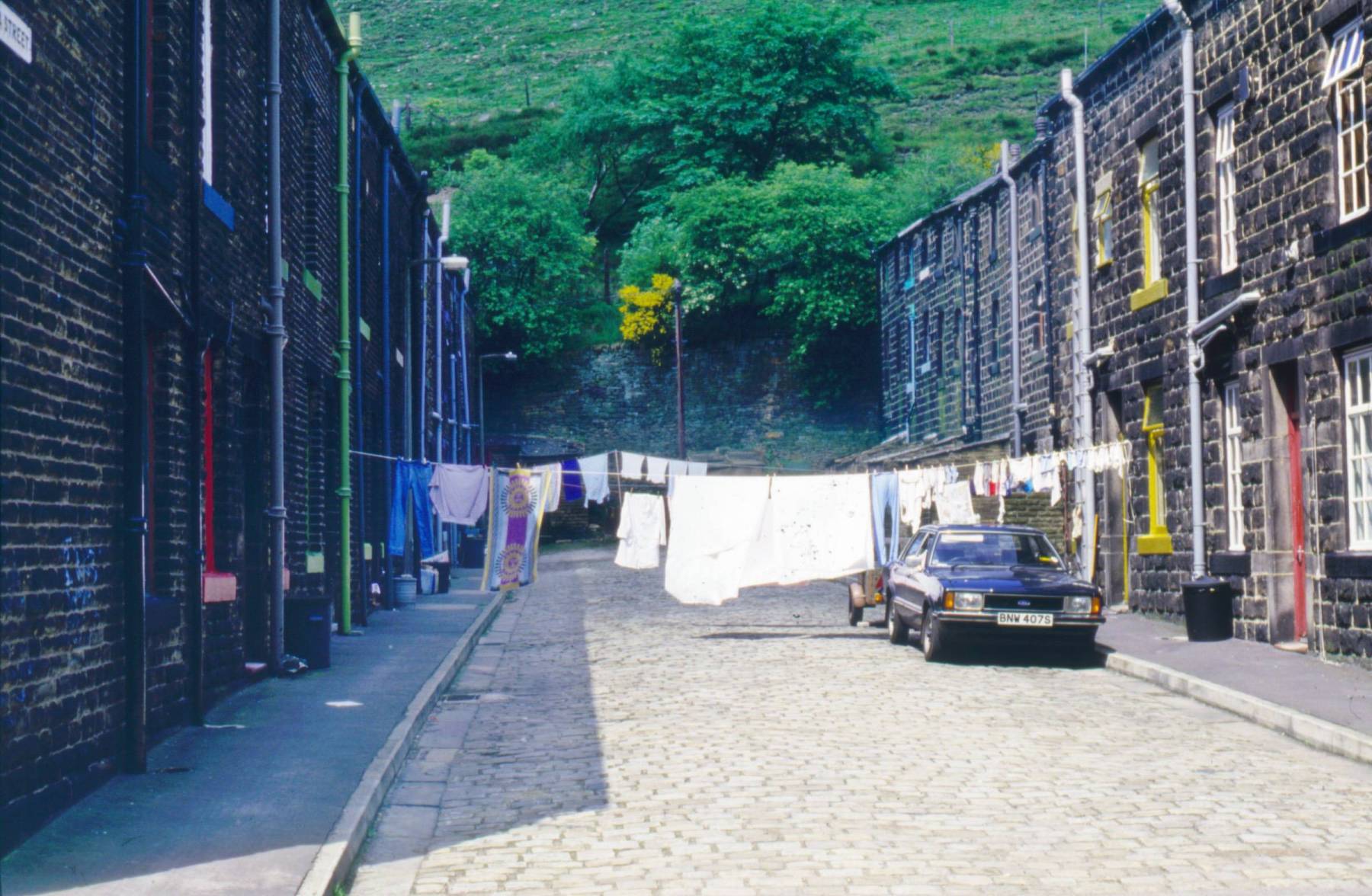 1986 Lydgate 584.jpg