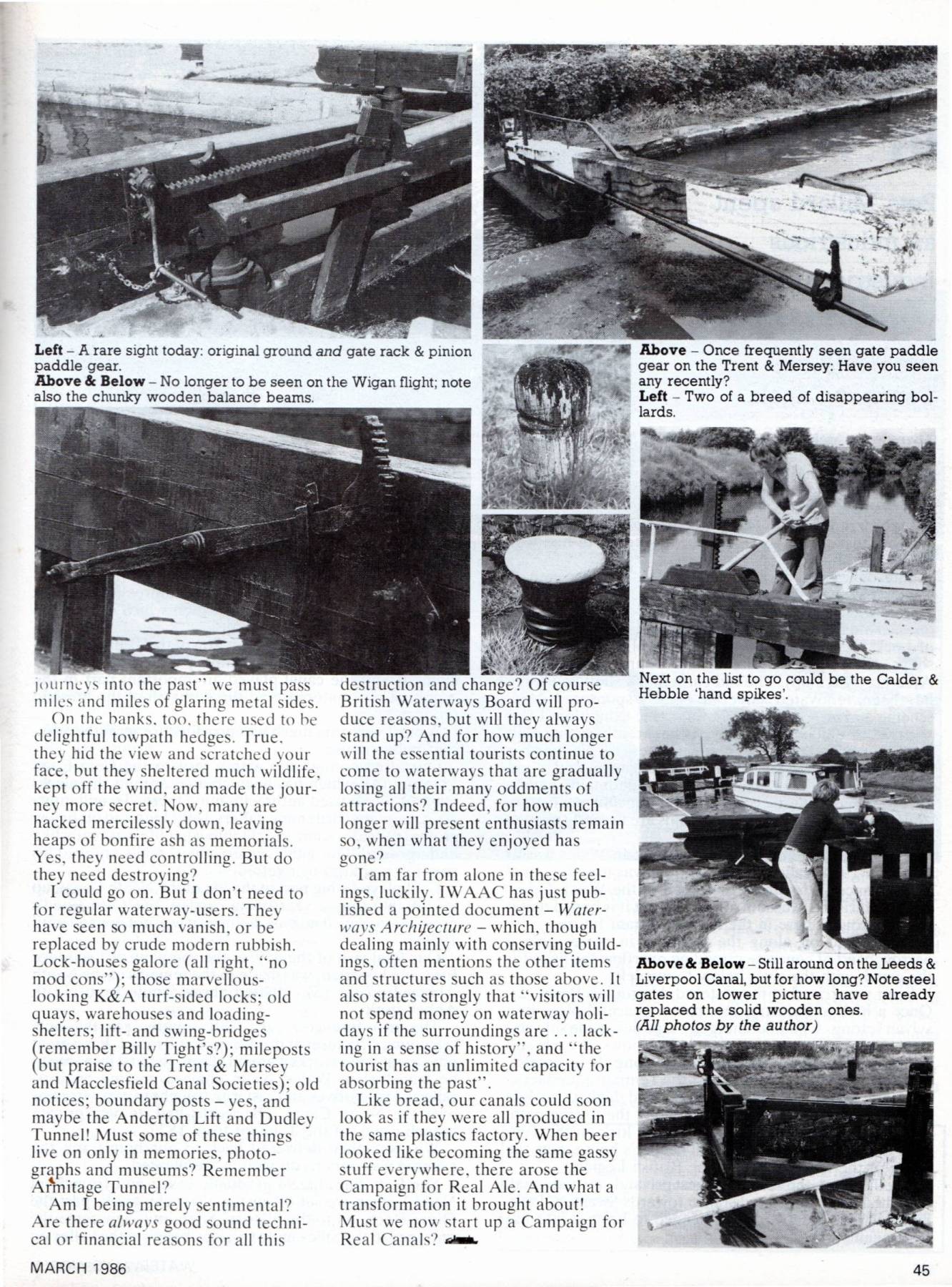 extinct paddle gear2.jpg