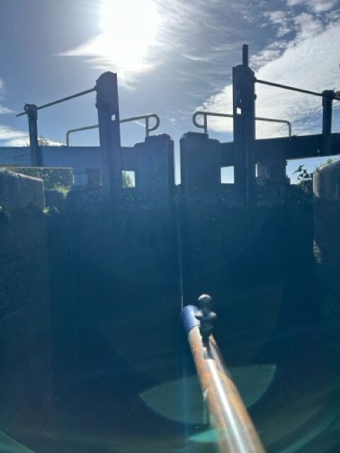 IMG_4861 Medium.jpeg