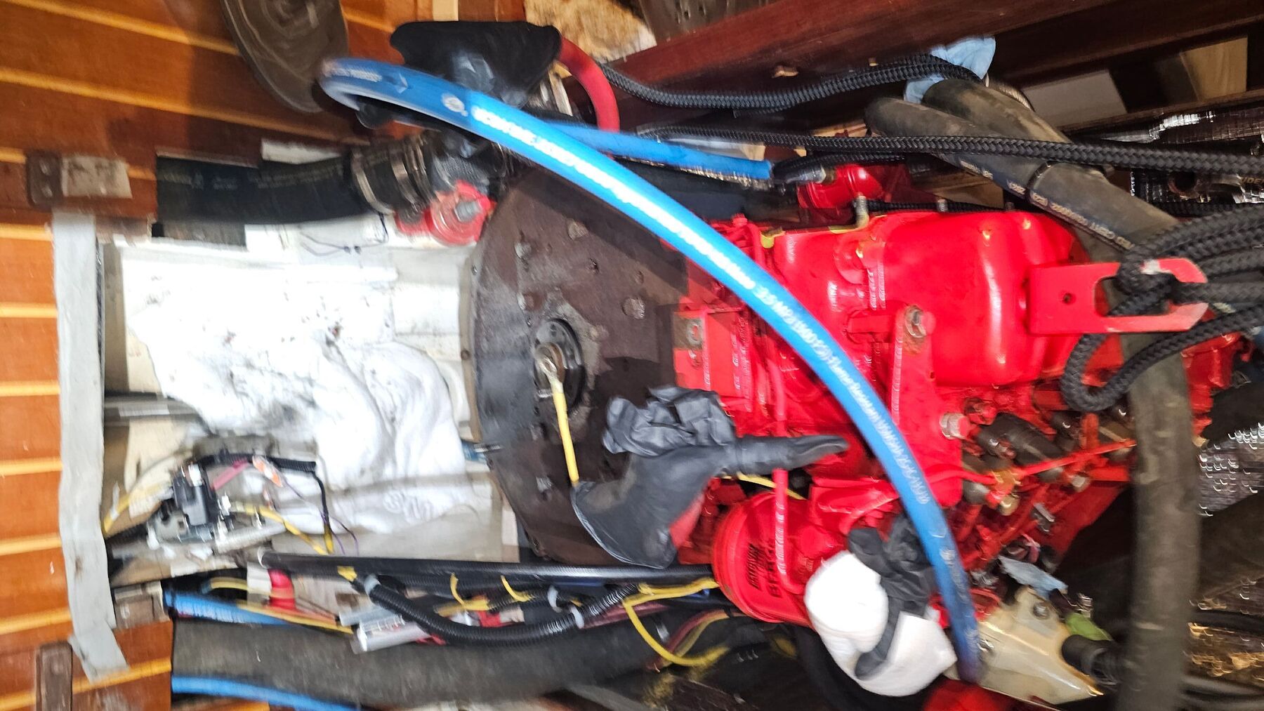 20260204_184811.jpg