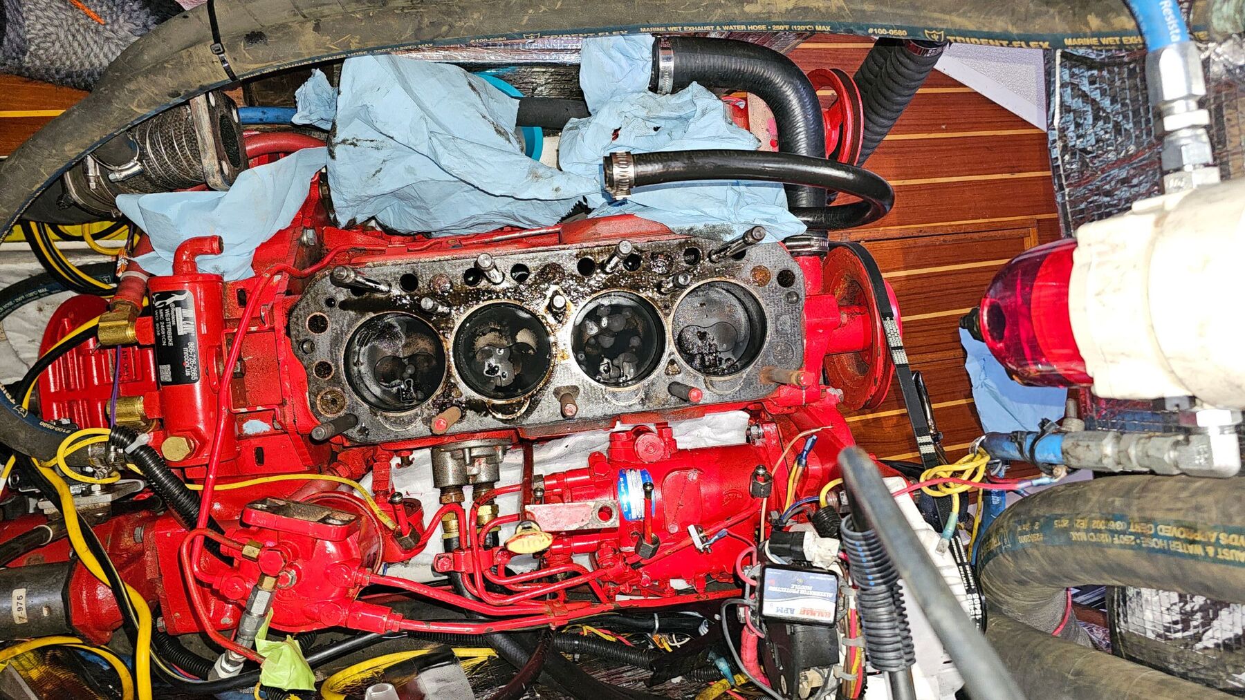 20260417_172401.jpg