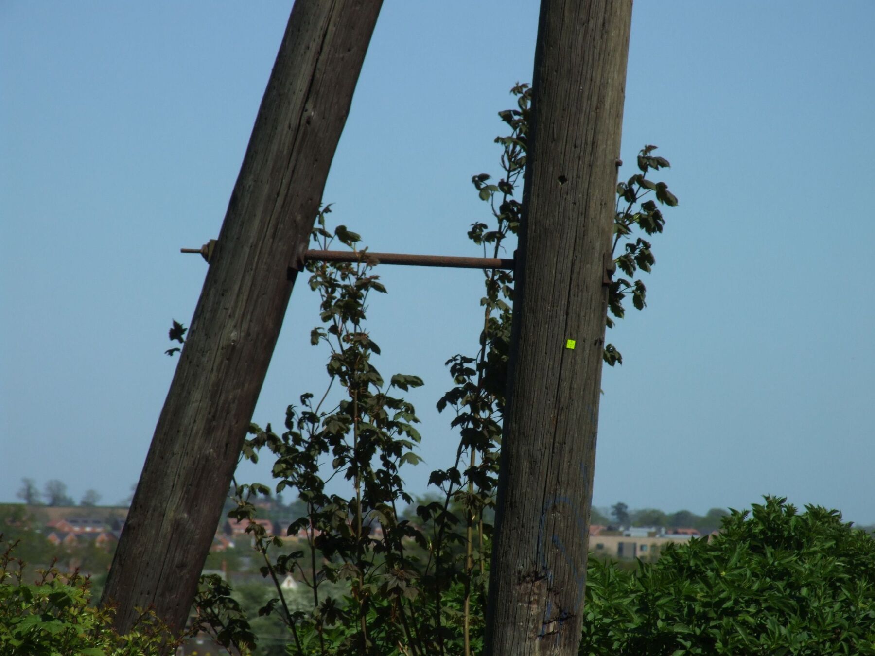 DSCF1487.JPG